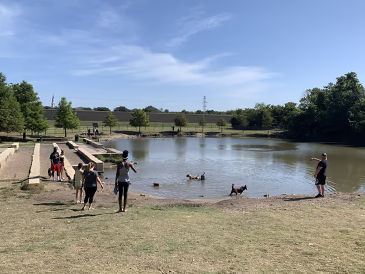 North Dog Park photo 1